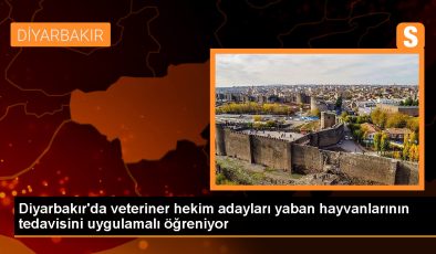 Diyarbakır’da Veteriner Hekim Adayları Yaban Hayvanlarını Uygulamalı Öğreniyor