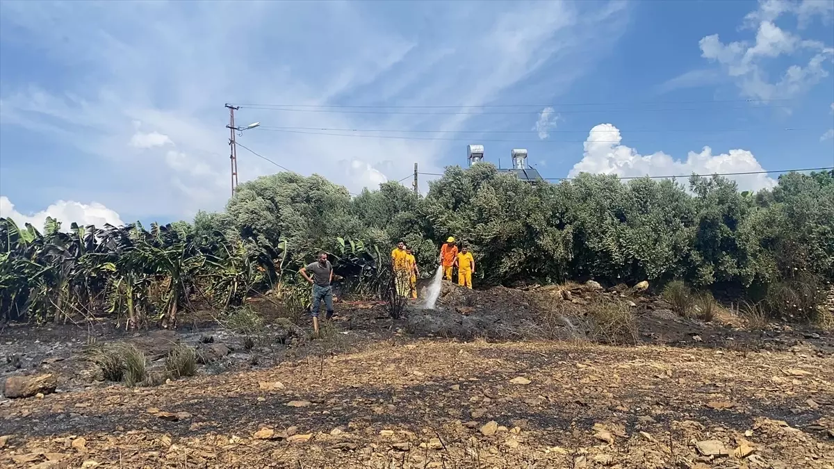 Gazipaşa’da Yangın Muz Bahçelerine Sıçradı